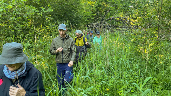 Frauen und Männer gehen in einer Reihe und bahnen sich einen Weg durch brusthohe Vegetation.