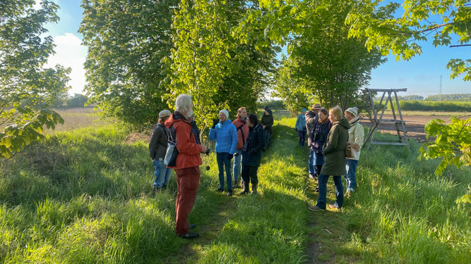Frauen und Männer stehen auf einem alten Landweg im Maiengrün. Es wird gelauscht, geschaut und geplaudert.
