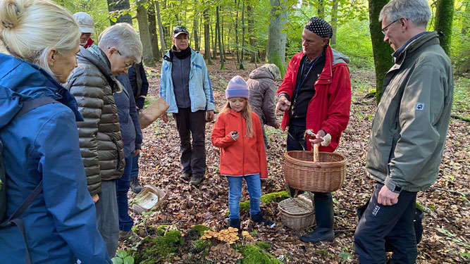 Der Pilzexperte erklärt einen Pilz im Wald. Umgeben von einem Kind und mehreren Erwachsenen. Im Vordergrund ein Baumstubben mit Baumpilzen.