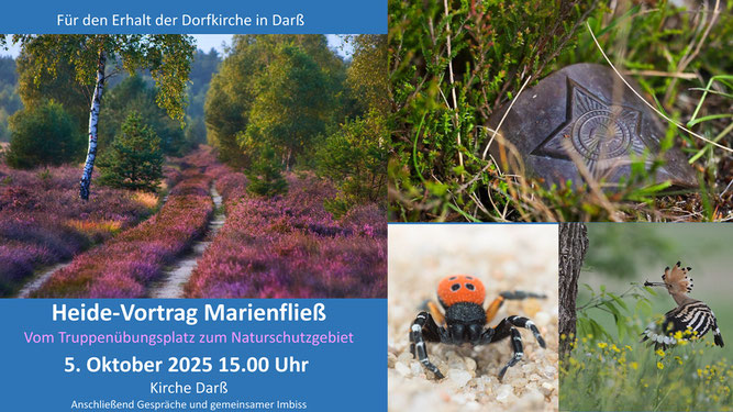 Collage aus vier verschiedenen Bildern aus dem Naturschutzgebiet. Zu sehen ist blühende Heide, ein Koppelschloss eines Sowjetsoldaten, die Rote Röhrenspinne und ein Wiedehopf.