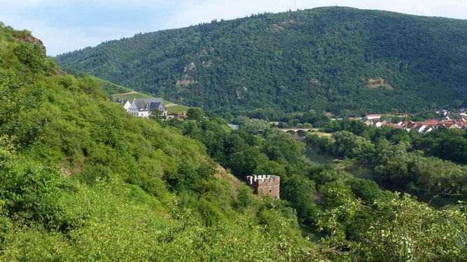 Blick vom Kunoweg bei Schlossböckelheim zum Lemberg - Foto: K-H. Fuldner