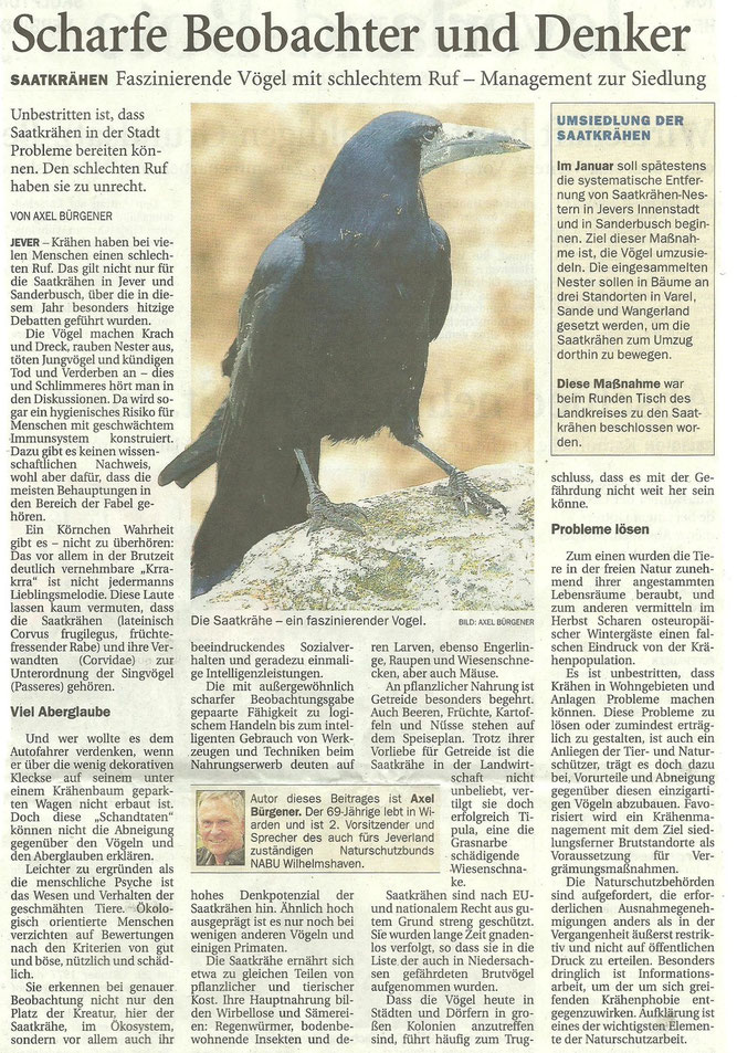 Nord-West Zeitung v. 23.11.13