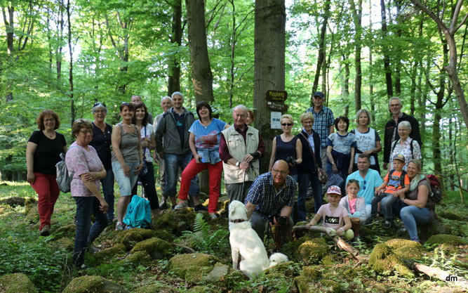 Gruppenbild der Teillnehmer/innen bei der Waldbegehung am 7.5.2018