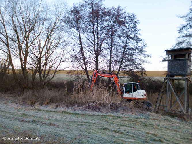 22.01.2026 Der Boden war gefroren und endlich konnten die Staustufen gepflegt werden.