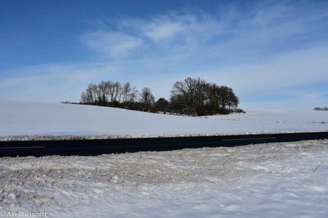 27.01.2026 Ende Januar sieht der Kuhlhof noch winterlich unter dem blauen Himmel aus.