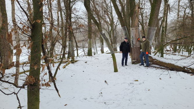 Foto: Tanja Wagenländer