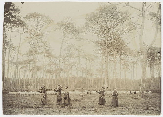Photo historique du grand photographe landais Félix ARNAUDIN