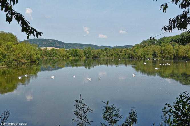 Naturschutzgebiet „Schwimmkaute bei Mehlen“ von der Beobachtungshütte aus (Foto: Wolfgang Lübcke)