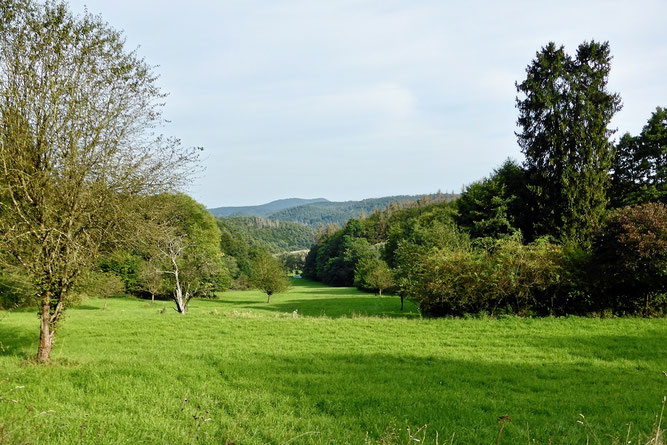 Landschaftlich reizvoll - das Appenrod mit den Wildunger Bergen im Hintergrund (Foto: Wolfgang Lübcke)