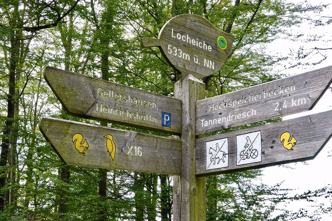 Wegweiser an der Locheiche (Foto: Wolfgang Lübcke)
