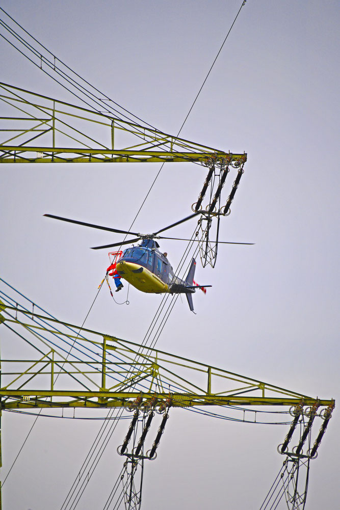 Eine Spezialfirma installierte die Vogelmarker per Hubschrauber.