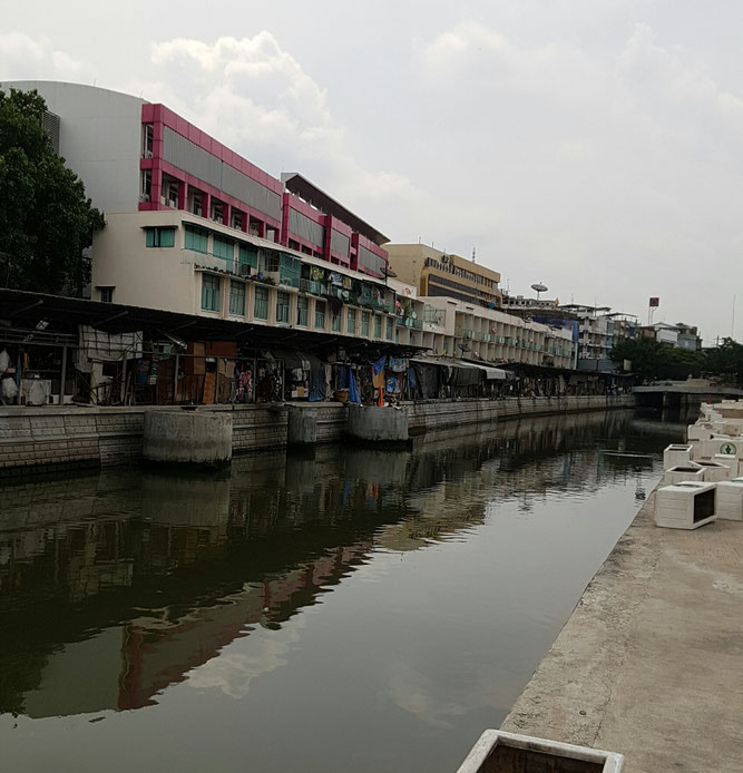 Camino hacia el muelle