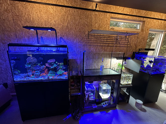 hsbao dcポンプ　レッドシーリーファー　オーバーフロー水槽　　マーフィード　DCポンプ　オーバーフロー水槽用分岐配管