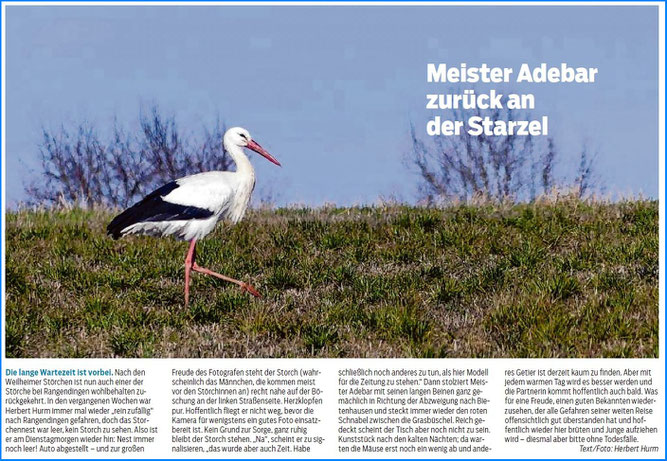 Hohenzollerische Zeitung 06.03.2025