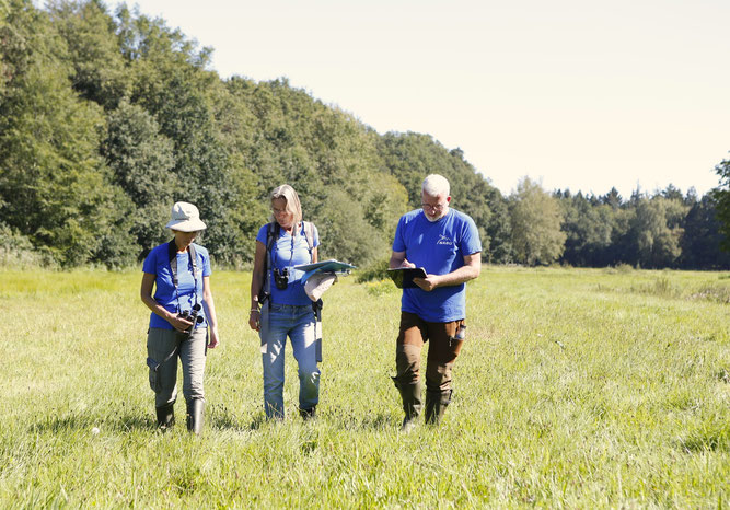 Das Team der Ökologischen NABU-Station Oldenburger Land (ÖNSOL) bei der Erfassung und Bewertung von Grünland in der Haarenniederung. Foto: NABU/Mareike Sonnenschein