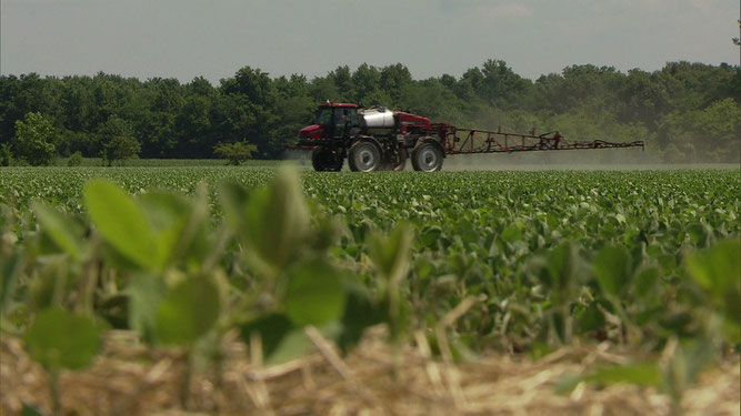 Die Saat der Gier – Wie Bayer mit Monsanto die Landwirtschaft verändern will