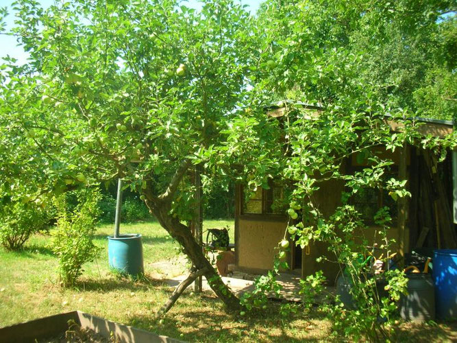 Bild: Hanne Knickmann