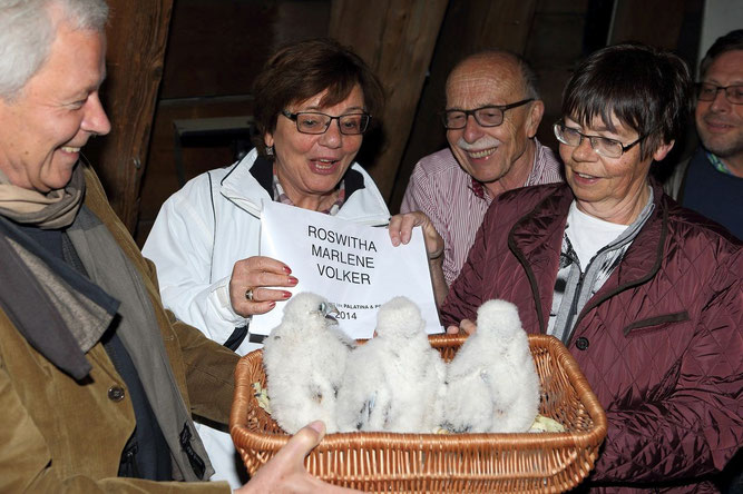 Hans-Martin Gäng (Mitte) freut sich über Falkennachwuchs 2014