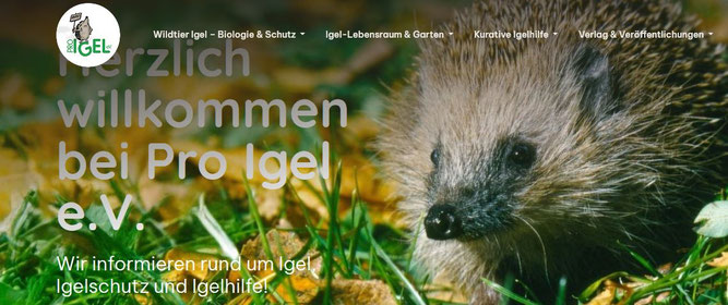 Screenshot, als Link bitte klicken