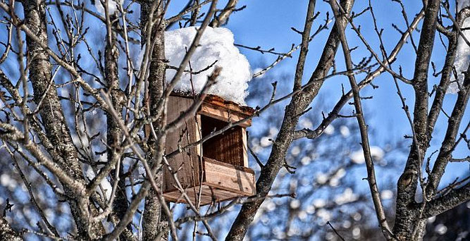 Foto Pixabay, ThMilherou