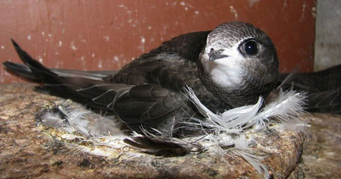 Foto: Birgit Biemann