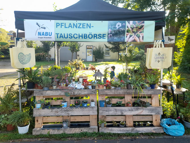 Stand zur Pflanzentauschbörse am 20.09.25 hinter dem Kunstgussmuseum