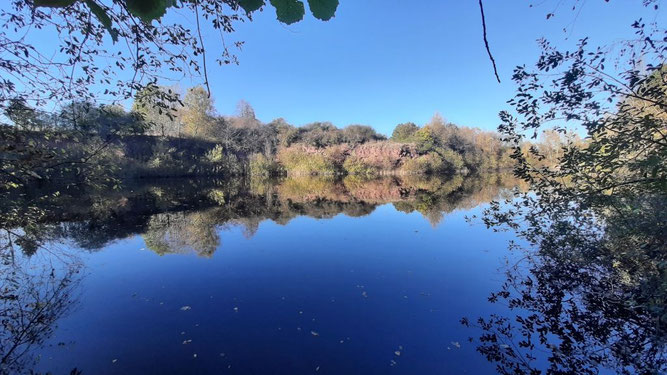 Foto: Silke Morar / NABU Euskirchen