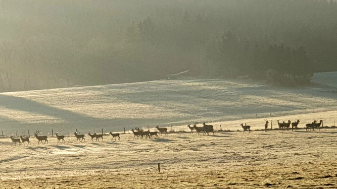 Foto: Claudia Rapp-Lange / NABU Euskirchen