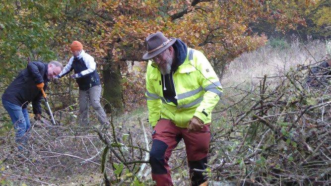 Ein Trupp des Bergwaldprojektes e.V. bei der anstrengenden Entbuschungsarbeit (Bildautorin: M. Schmitz, Biologische Station im Kreis Euskirchen e.V.)