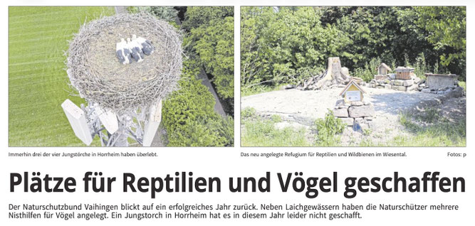 Artikel zum Jahresbericht in der Vaihinger Kreiszeitung (VKZ) vom 17. 12. 2025. (c) VKZ