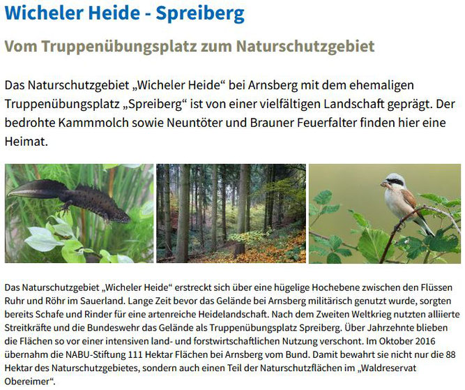 Quelle: https://naturerbe.nabu.de/naturparadiese/nordrhein-westfalen/spreiberg/index.html