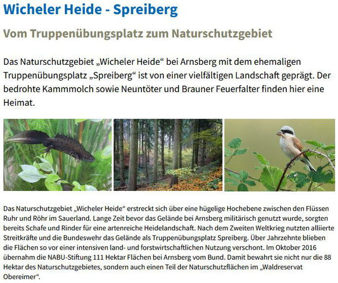 Quelle: https://naturerbe.nabu.de/naturparadiese/nordrhein-westfalen/spreiberg/index.html