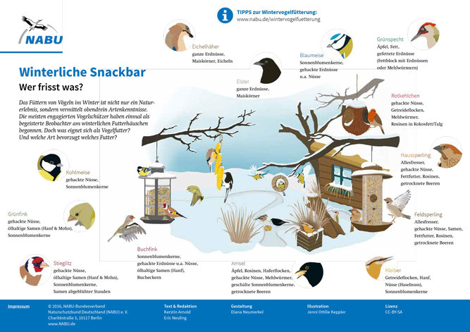 NABU Winterliche Snackbar, Wer frißt was? Vogelfütterung im Winter