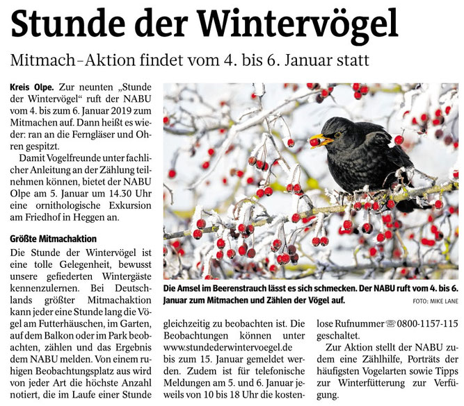 Westfalenpost, 29.12.2018