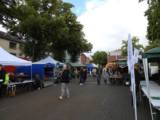 Überblick auf den Marktplatz