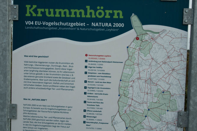 Infotafel zum Vogelschutzgebiet an der Leyhörn