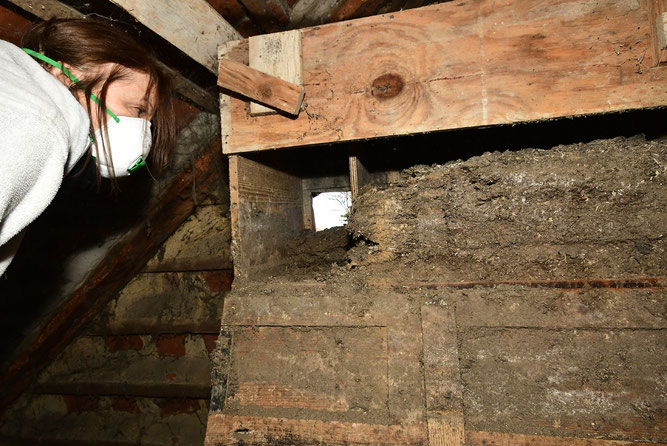 Die Reinigung eines Schleiereulenkastens, der es "nötig hat". Foto: S. Bologna