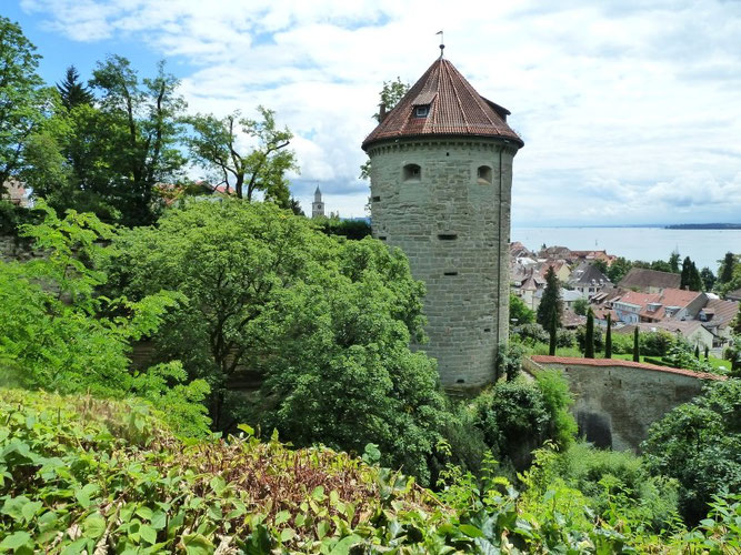 Helfen sie, unsere Natur in Überlingen zu schützen ! 