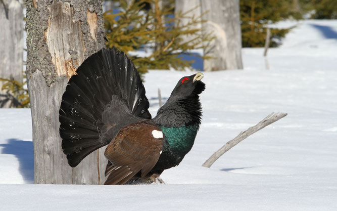 Foto: Christoph Moning