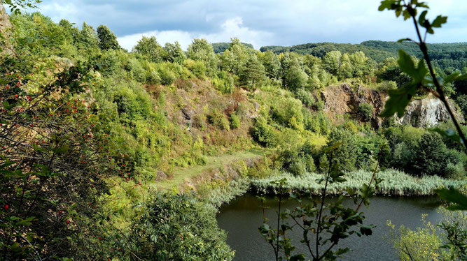 Der Dächselverg, Foto: Dr. Lopata