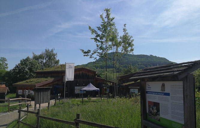 Das Büro der Bezirksgeschäftsstelle NABU Neckar-Alb befindet sich in den Gebäuden des NABU-Vogelschutzzentrums in Mössingen. - Foto: NABU Neckar-Alb