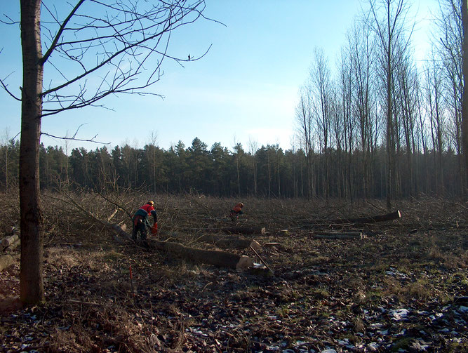 Biotopgestaltung Füstmoor 