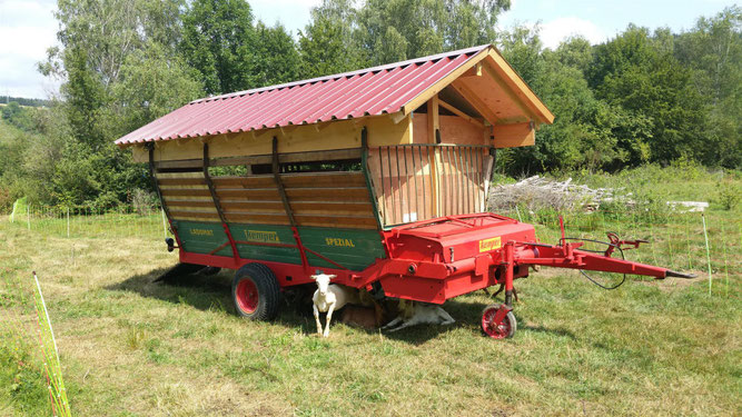 Der Ziegenwagen zum Transport und Wetterschutz