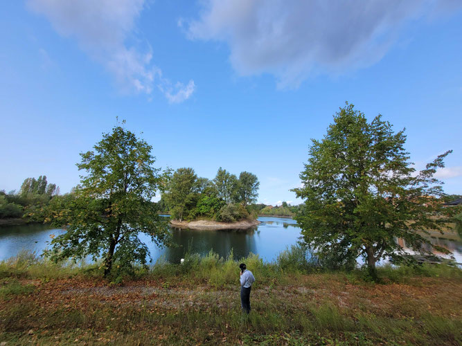 Blick vom OST-Ufer auf See mit Insel