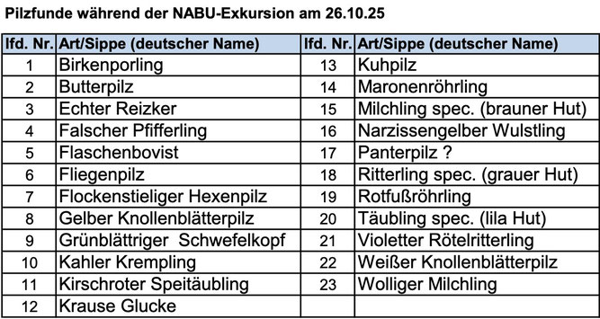 Exkursionskarte, bearbeitet von Michael