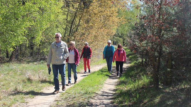 Foto von Wanderfreunden auf sonnigen Wegen.