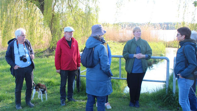 Wandergruppe am Crivitzer See