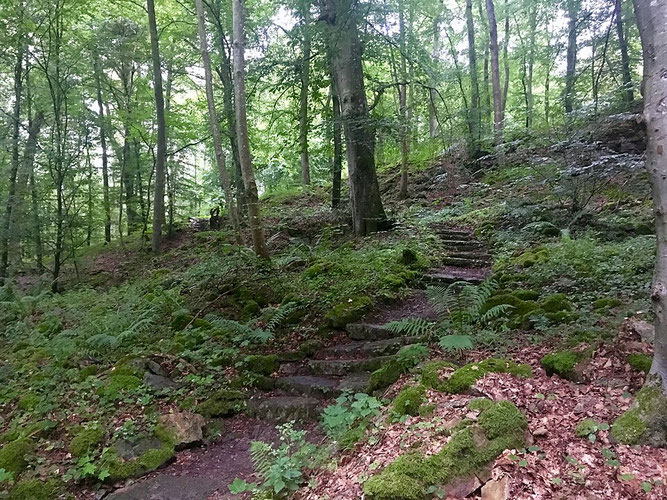 Der Olgahain. Bild: Qwave via Tuepedia, CC BY-SA 4.0