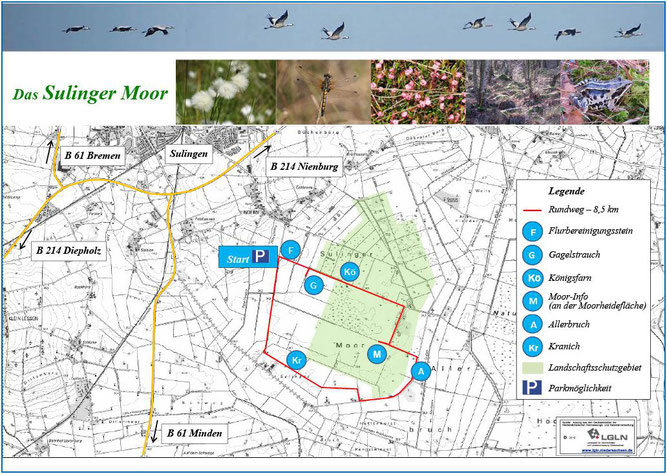 Moor-Rundweg im Sulinger Moor (durch einen Klick auf das Bild als Flyer herunterzuladen)