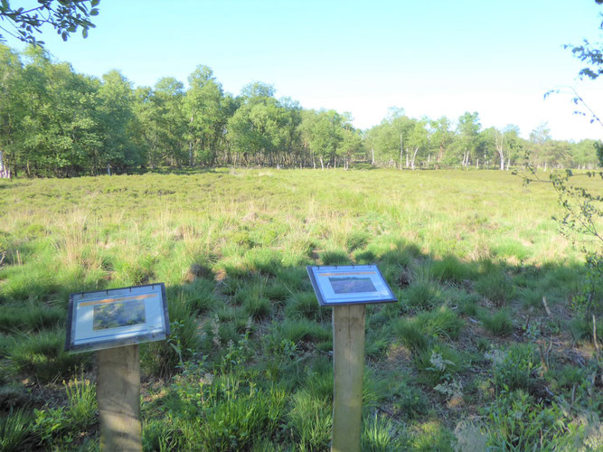 Infopunkte auf dem Moor-Rundweg -  Foto: NABU Sulingen/Udo Sakuth